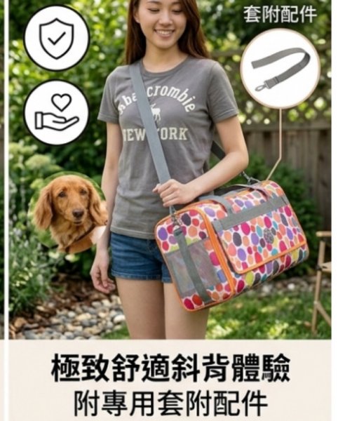 PARTY FIVE 斜背肩背透氣手提寵物包